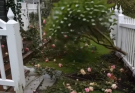 She Destroyed My Yard — My Gift Was Perfect Revenge